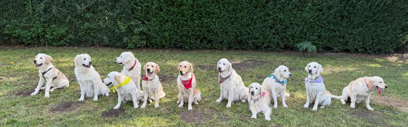 A-Wurftreffen vom 06.09.25