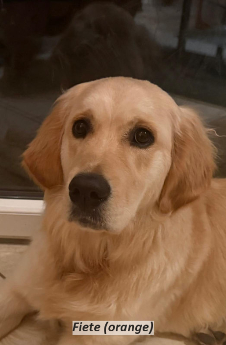 Fiete (orange)